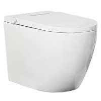 Expensive ceramic white intelligent remote control automatic smart toilet