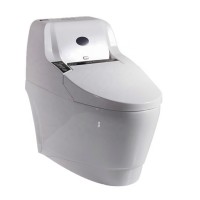 742W wall mounted European standard P trap smart bidet toilet germany