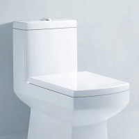 Germany hydro cleanse combination bidet toilet seat