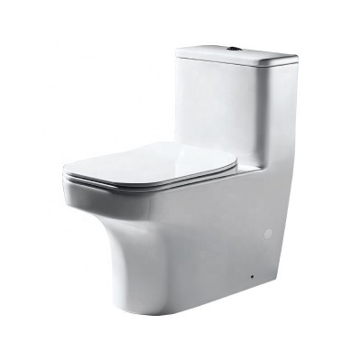 Germany Bravat Brand!! Ceramic wc one piece toilet C21131XUW-3