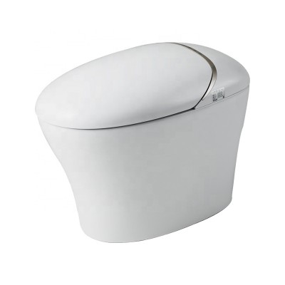 Bravat Maple Spring SeriesIntelligent Toilet without Cistern C21185W-3C-VP