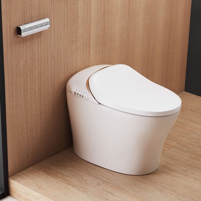 Bravat Maple Autumn Series Floor Mounted  Intelligent Toilet without Cistern smart intelligent toilet C21186W-3C-VP