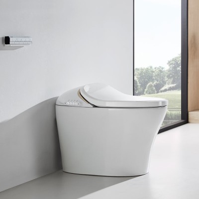 Germany brand round one piece water saving intelligent toilet bowl C21186W-3C-VP